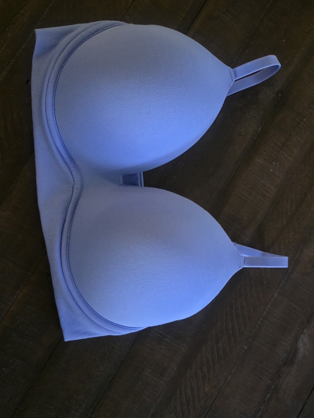 wild fable Light Blue Padded Wireless Bra